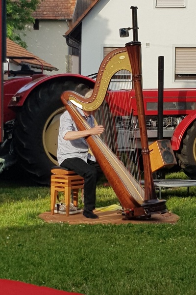 h foerser harfe schlüter
