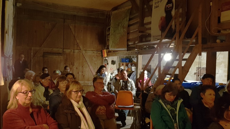 publikum 800x450
